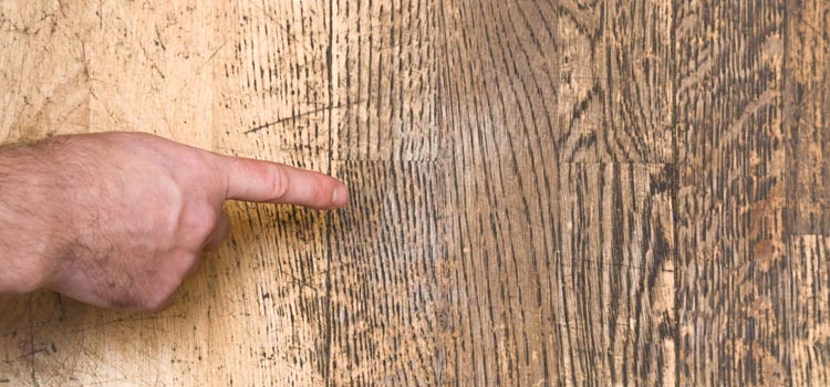 Wood Door Scratch Repair in Garden Grove